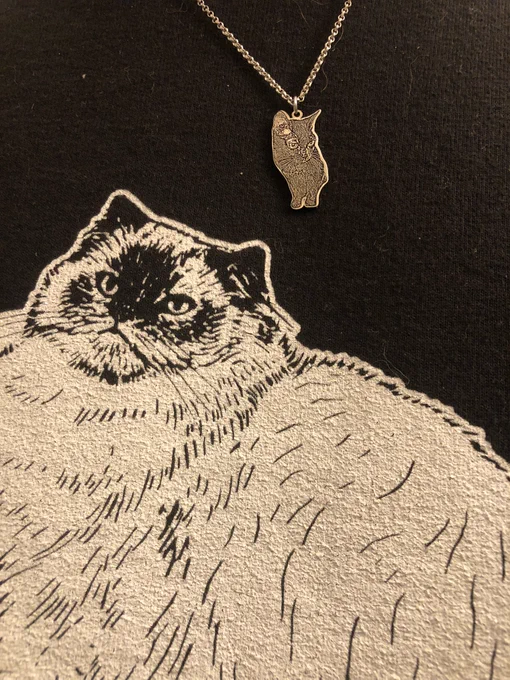 Close up of a black sweatshirt on a person. There is a printed image of a fluffy cat in white. Above it hangs a pendant of a cat made of a silver colored metal on a silver colored chain.