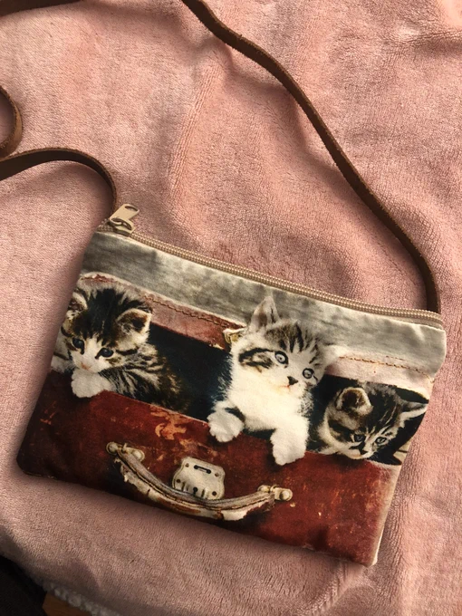 A small zippered bag with a thin brown strap lays on top of a pink fuzzy blanket. Printed on the bag is three black/white tabby kittens poking their heads out of what looks like an old style suitcase or trunk.