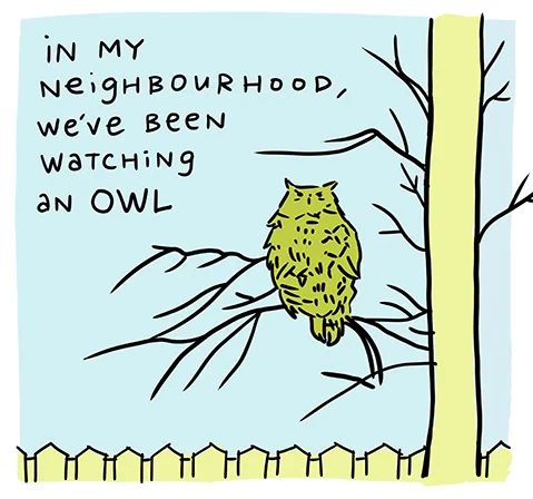 Drawing of a great horned owl on a tree branch. This post is full of comics that don't lend themselves well to alt text, but hopefully the typed copy provides some context!