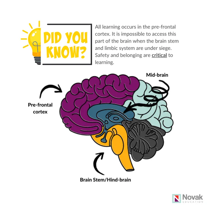 Pre-frontal cortex