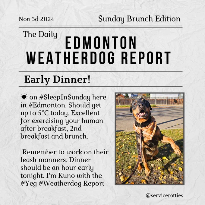A mockup of a local newspaper titled the daily Edmonton Weatherdog Report 