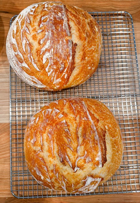 Two sourdough round loaves on a cooling rack. Both are golden brown with small wheat beach details.