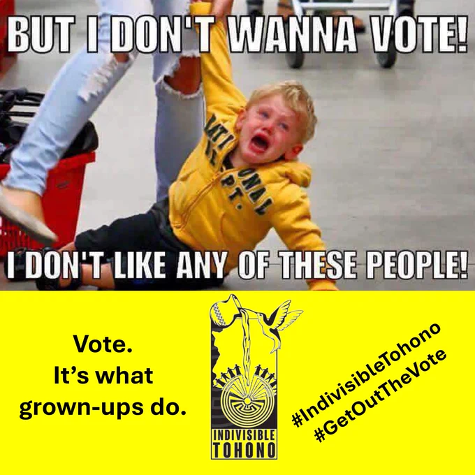 Meme of a crying boy being dragged along by his mother with the caption "But I don't wanna vote! I don't like any of these people!"  Below on a yellow background text reads: Vote. It’s what grown-ups do." Indivisible Tohono logo inset along with the embedded hashtags #IndivisibleTohono #GetOutTheVote