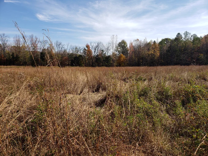 Suther Prairie near Charlotte, NC.