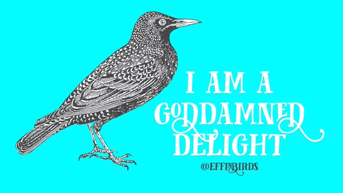 A woodcut of a starling beside the text "I am a goddamned delight"