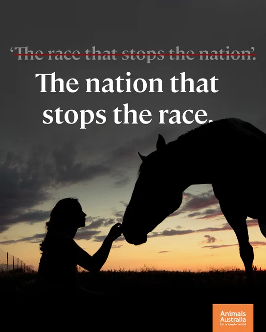 Text 'The race that stops the nation' appears with a line through it, crossing it out. Text underneath reads, 'The nation that stops the race.'
A silhouette of a person touching a horse's nose. 