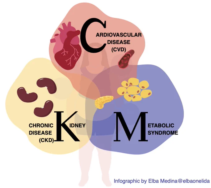 https://www.kireportscommunity.org/post/ckm-syndrome-finally-recognizing-the-connection-between-the-heart-kidney-metabolic-syndrome