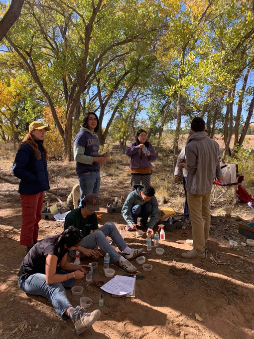 Students characterizing soil morphological characteristics outside of soil pit