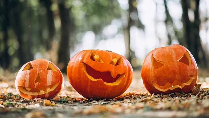 Three carved pumpkins with smiling faces on the ground covered with autumn leaves.