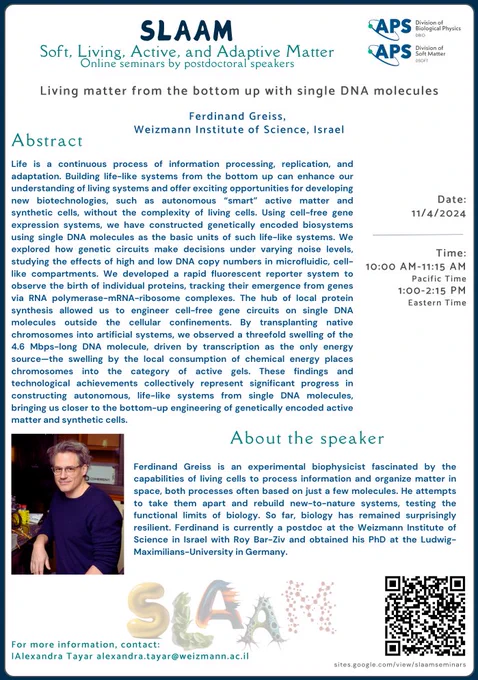 Today's SLAAM seminar will feature Dr. Ferdinand Greiss from the Weizmann Institute of Science at 10:00 am PT / 1:00 pm ET (US time).
Title: Living matter from the bottom up with single DNA molecules