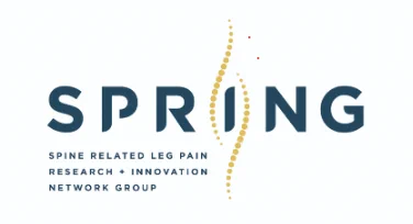 Online survey to establish research priorities in spine-related leg pain (Sciatica).