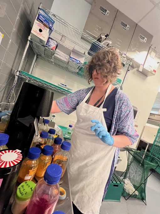 Person in an apron and blue gloves with various bottles of substances in front of them
