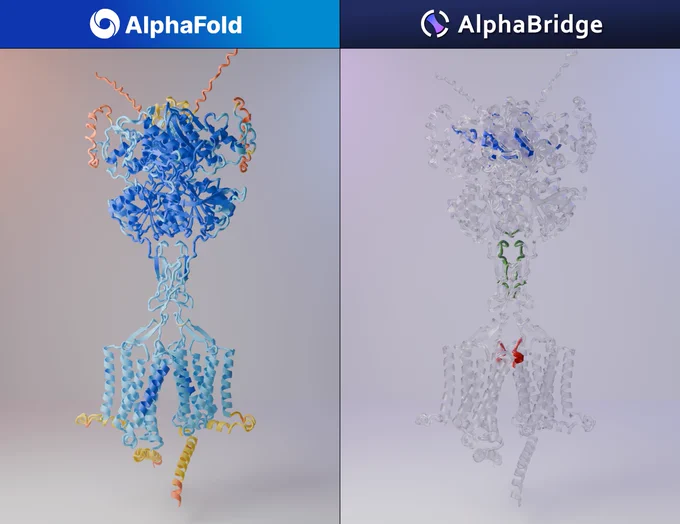 The left panel displays the pLDDT of the prediction, while the right panel shows the reliable interfaces
Images created with Blender and Molecular Nodes