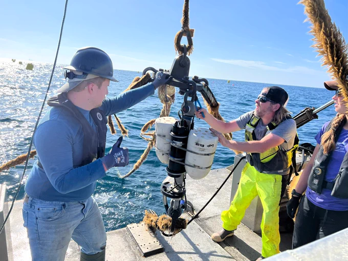 Credits: Will Ntsoane / Kelson Marine
Caption: Kelson employee Nate Baker deploys load cells and acoustic instrumentation on offshore array.