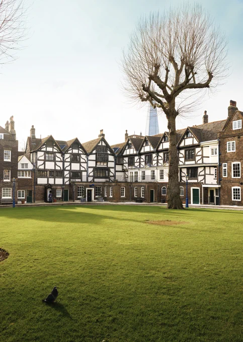 a row of Tudor houses with a grass field in front of it 