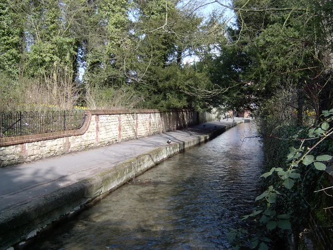 A stream with a pathway on the left with walled gardens beyond that. A few ducks dotted along the pathway