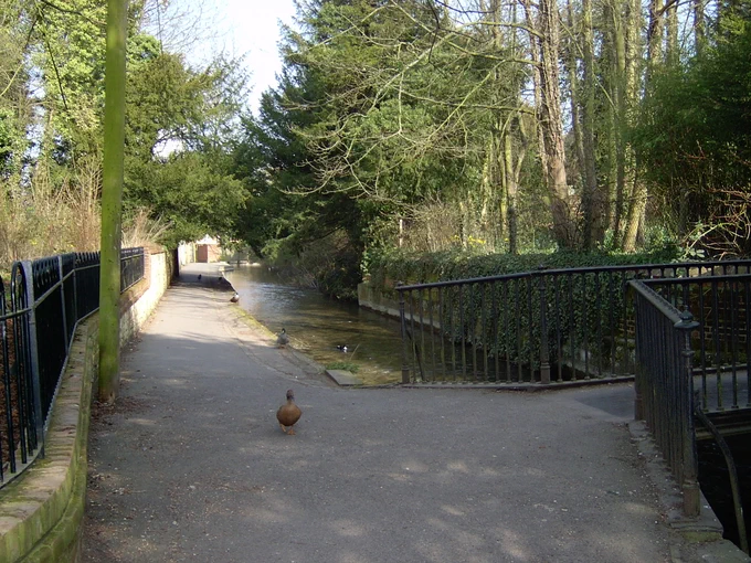 A stream flowing under an iron bridge on the right, a footpath with many ducks along it on the left