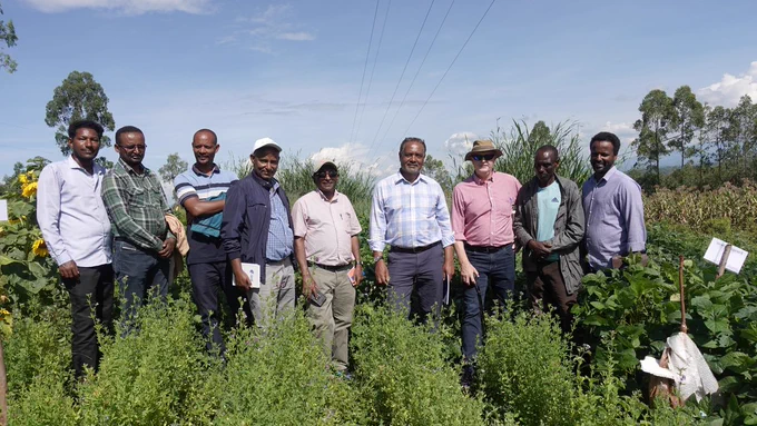 Screening various forages- lucerne, lablab, forage soybean, cowpeas, forage grasses, etc.