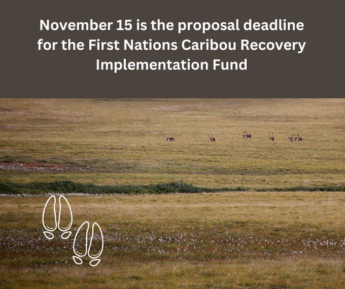 Nov 15 is the proposal deadline! #caribou