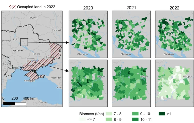 Cartographie de la biomasse dans les parcelles de blé dans deux régions d’Ukraine (Poltava au nord et Kherson au sud). Une chute de biomasse est visible dans la région de Kherson en 2022 seulement, confirmant qu’elle a été causée par l’invasion russe. © Cf référence