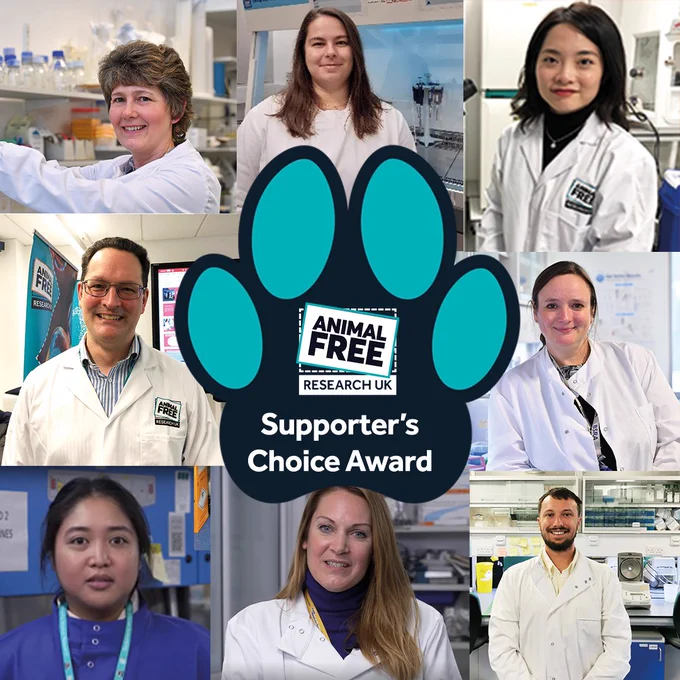 Montage of Animal Free Research UK funded scientists nominated for the Supporter's Choice Award