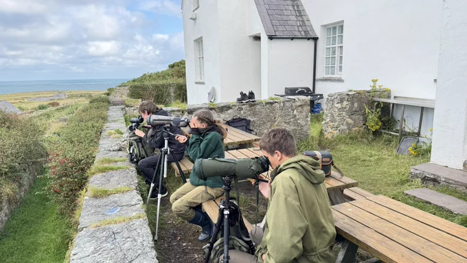 Birders on Ynys Enlli
