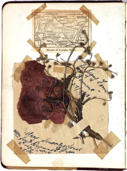 A scrapbook style page with a pressed poppy taped on top of brown paper.