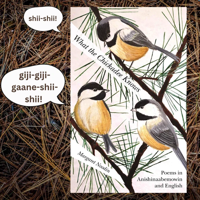 Book cover featuring small birds, against a pine needle background, with speech bubbles containing birdcalls