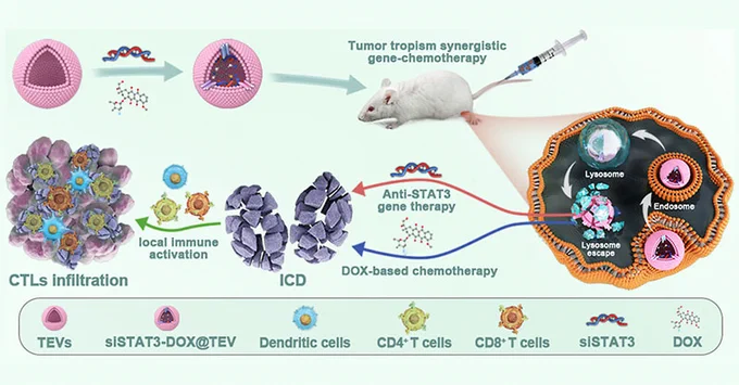 TOC image from the article