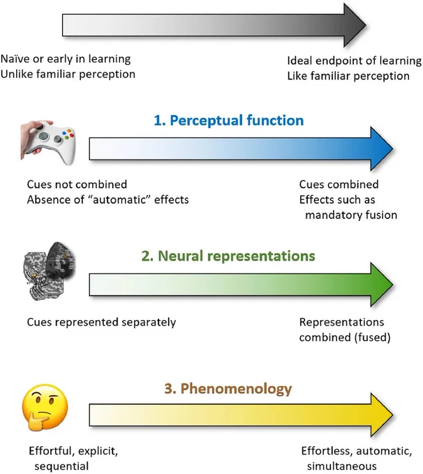 A framework for evaluating hypothesized changes in integration of a new signal within perception along three dimensions: perceptual function, neural representations, and phenomenology.