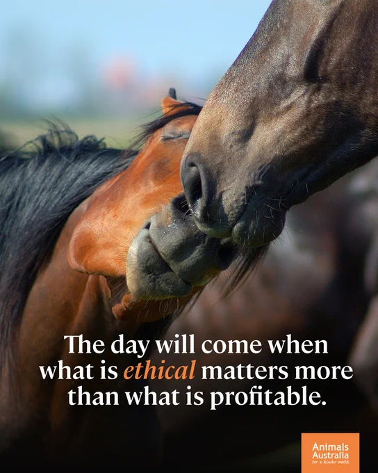 Two horses touch their noses. Text reads: The day will come when what is ethical matters more than what is profitable. 