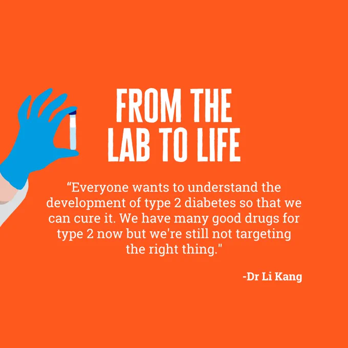 The image shows text that reads ‘“From the lab to life. Everyone wants to understand the development of type 2 diabetes so that we can cure it. We have many good drugs for type 2 now but we're still not targeting the right thing. Dr Li Kang”. There is a graphic of a hand wearing a blue glove, which is holding a test tube. 