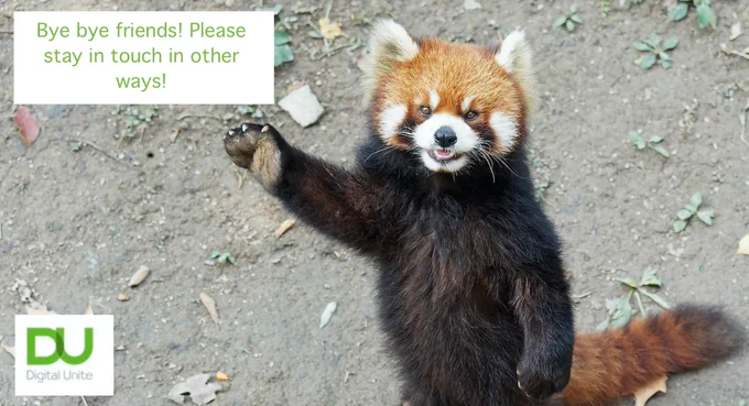 a red panda waving goodbye