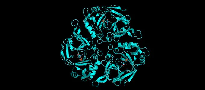 Crystal structure of a RLIG1 homolog (PDB: 9C6L) from Yasminevirus bound to nucleotides. CC BY SBGRID