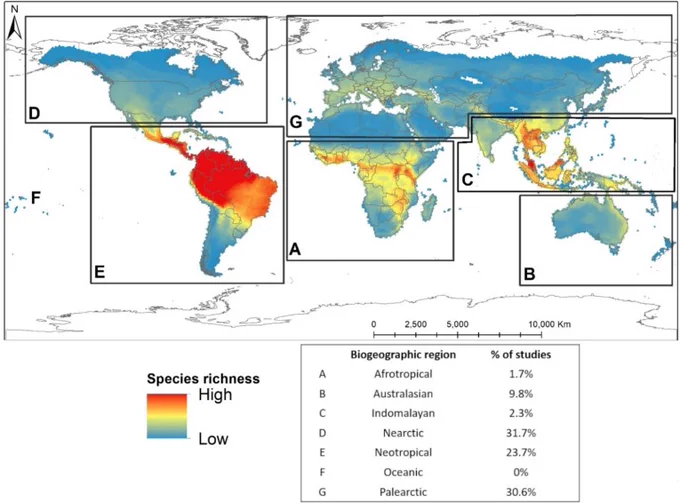 Fig. 2. World hotspots for bat diversity and number of landscape analysis studies per biogeographic region. Note that the percentage of studies does not match bat species diversity, especially in the Afrotropical and Indomalayan regions. Map based on data from the IUCN red list of threatened species Ver. 2022.
