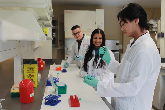 In the Wijenayake Lab, an MSc student performs a procedure using a pipette. The student is observed by a smiling Dr. Wijenayake and an undergraduate student. All three are wearing gloves and white labcoats. 