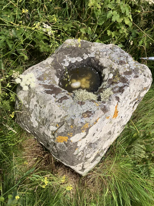 The stone font can be found in long grass on the edge of the beach below Pennyseorach Farm. Like other ancient rock-cut basins this one has strong associations with religion and offerings and could date from the medieval period.
It stands on land once owned by nearby Kilmashenachan Farm which was first mentioned in 1614 as belonging to the Bishop of Whithorn and which may have supported the small early-medieval chapel on nearby Sanda Island.
This stone is steeped in local folklore and tradition. For generations, locals have placed quartz pebbles, coins, and metal needles into its hollowed top to bring good luck, prosperity and fertility for the land in the coming agricultural year. A ritual possibly linked to the Celtic festival of Imbolc and St. Bride’s Day.
The place name itself has raised considerable debate over the years with some suggesting that the “Rat” element may be of Scandinavian origin, referring to a meeting place, or that it may represent an element of a persons name.