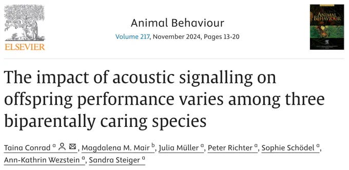 Screen shot of an article: Animal Behaviour
Volume 217, November 2024, Pages 13-20. The impact of acoustic signalling on offspring performance varies among three biparentally caring species. Taina Conrad, Magdalena M. Mair, Julia Müller, Peter Richter, Sophie Schödel, Ann-Kathrin Wezstein, Sandra Steiger
