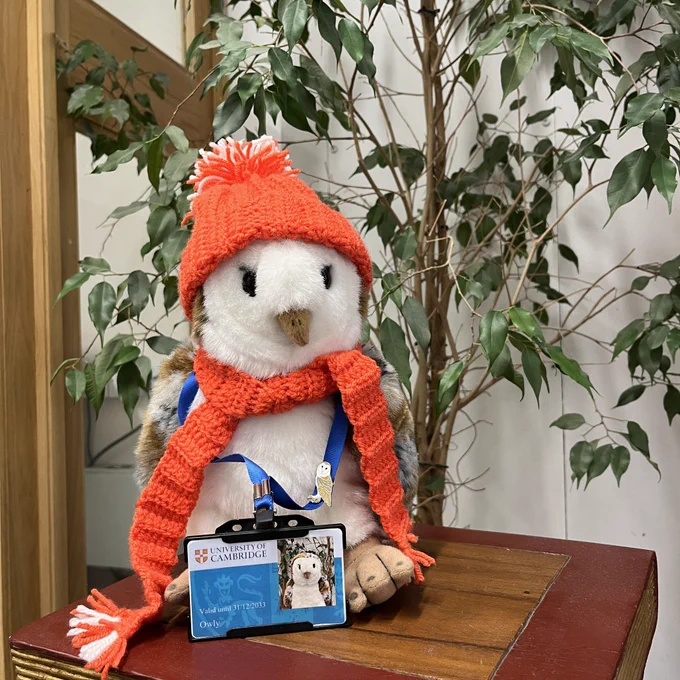 The MMLL Library owl mascot Owly is stood on a plinth in the MMLL Library foyer, dressed in a crocheted red scarf and bobble hat. There is a leafy plant in the background.