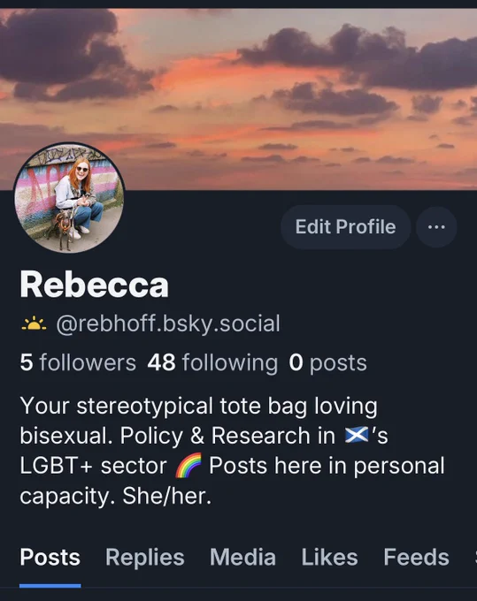 Screenshot of reb’s Bluesky profile