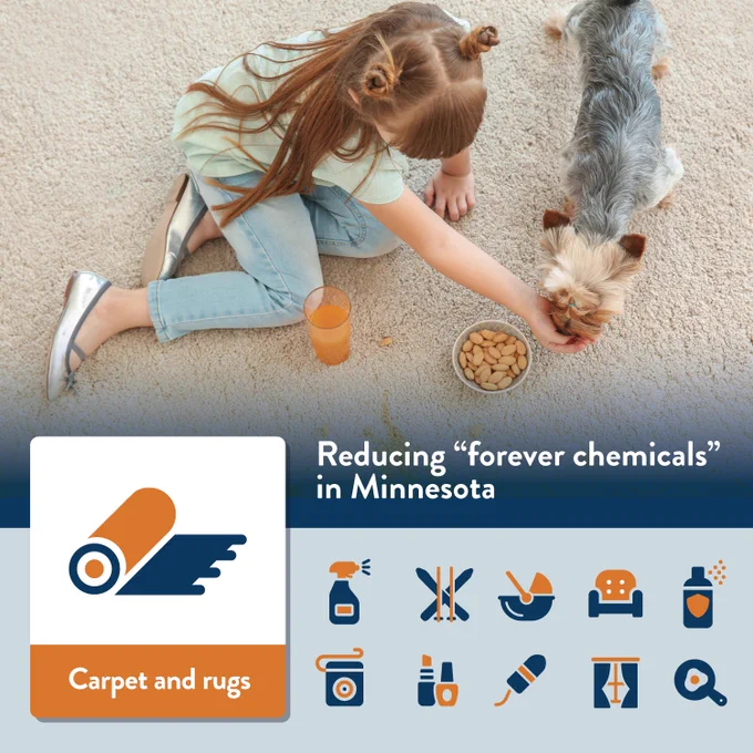A young girl sits on a white rug feeding a dog. There are eleven icons representing categories of items impacted by Amara's Law with "carpet and rugs" highlighted.