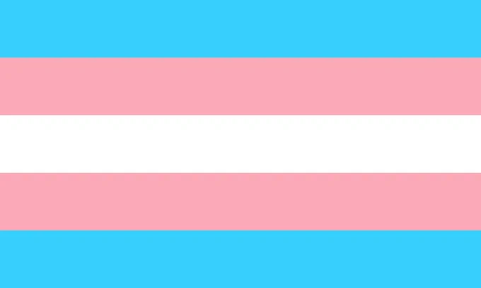 Transgender flag
