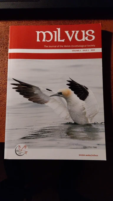 Front cover of Milvus magazine.
