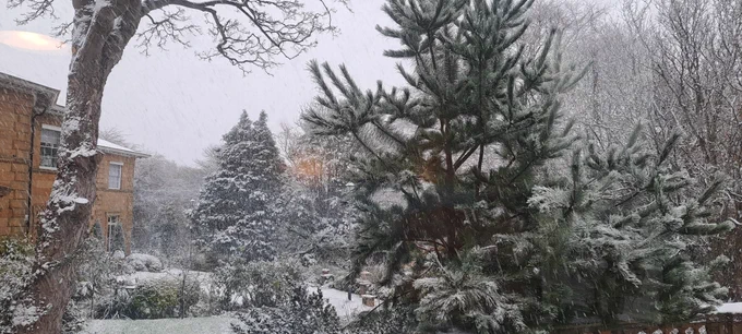 A building and fir trees in the snow.