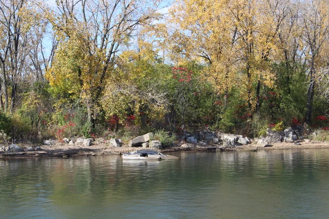 Autumn foliage with vibrant yellow and red leaves on trees along a riverbank. In the river, there is a partially submerged car.