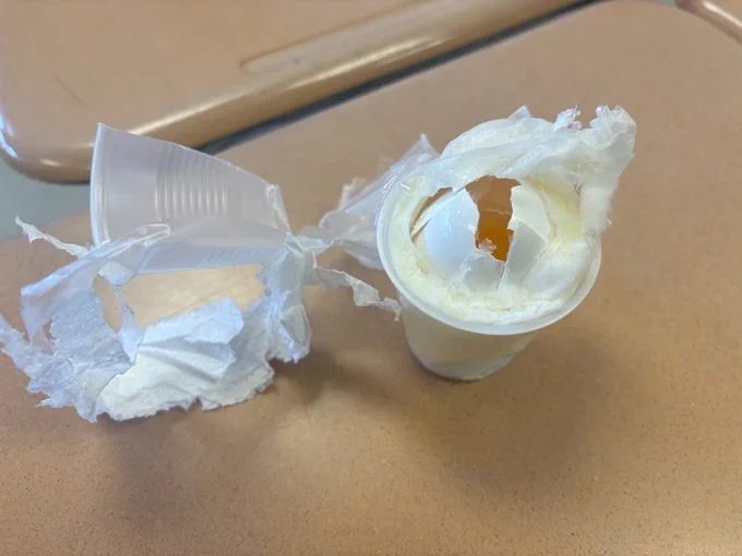 Physics Egg Drop 2024!!!