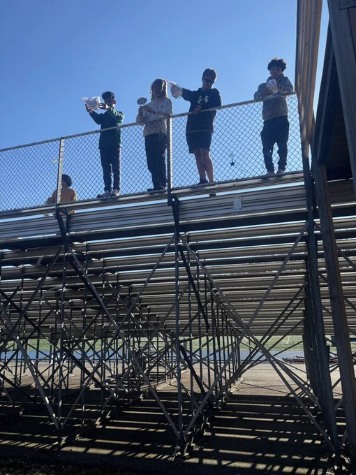 Physics Egg Drop 2024!!!