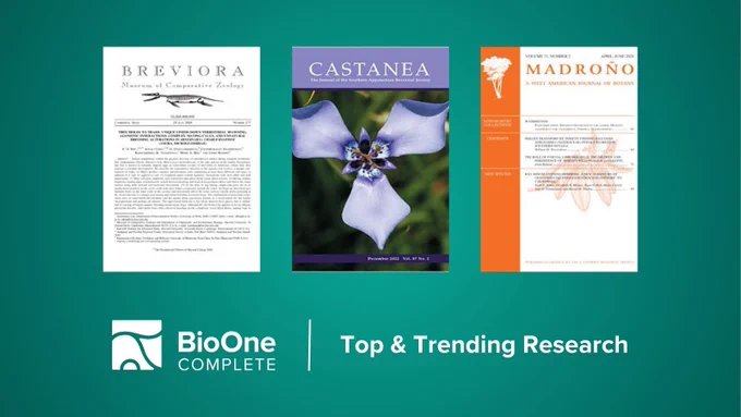 BioOne Complete Top & Trending Research. Journal covers for Breviora, Castanea, and Madroño.