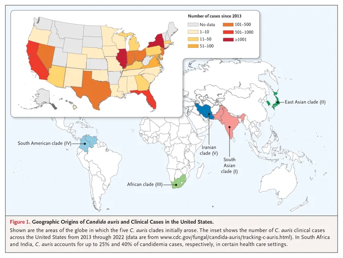 Figure 1. Geographic Origins of Candida auris and Clinical Cases in the United States.
Shown are the areas of the globe in which the five C. auris clades initially arose. The inset shows the number of C. auris clinical cases across the United States from 2013 through 2022 (data are from www.cdc.gov/fungal/candida-auris/tracking-c-auris.html). In South Africa and India, C. auris accounts for up to 25% and 40% of candidemia cases, respectively, in certain health care settings.