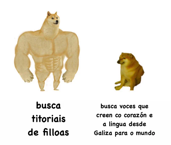 Um cam grande e forte que di: “busca titoriais de filloas”.
Um cam pequeno que di: “busca voces que creen co corazón e a lingua desde Galiza para o mundo”.